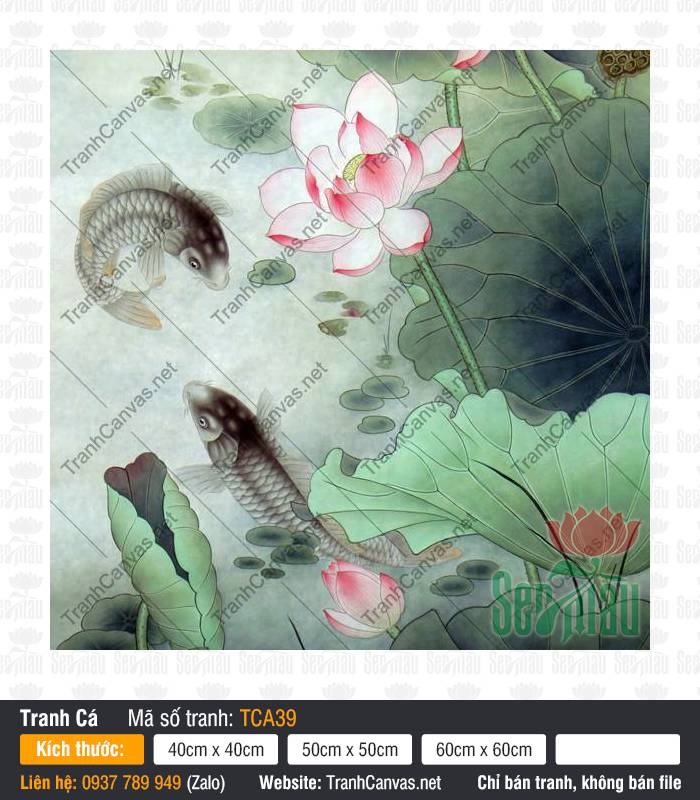 Hình Ảnh Cá Chép Phong Thủy TCA39, In Hình Cá Chép, Tranh Cá Đẹp, Dịch Vụ In Tranh Canvas