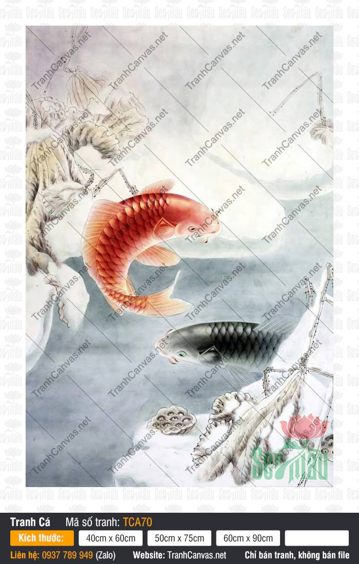 Hình Ảnh Cá Chép TCA70, Tranh Cá Chép Treo Tường, Tranh Cá Đẹp, Tranh Canvas Size Lớn