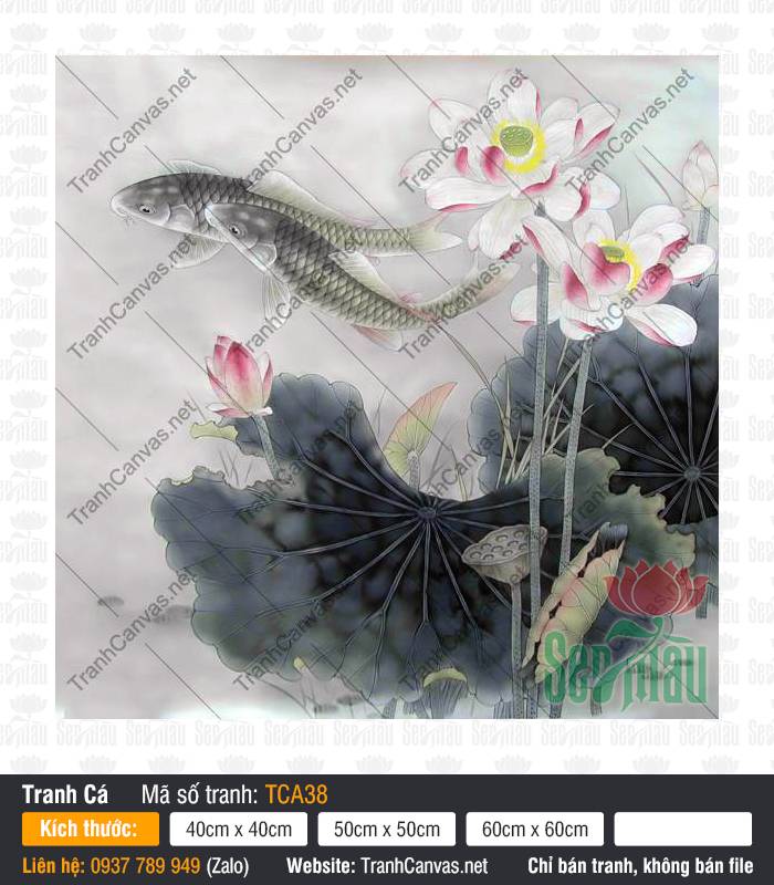 Hình Cá Chép Đẹp Nhất TCA38, Tranh Cá Chép Tài Lộc, Tranh Cá Đẹp, Tranh Canvas Lớn
