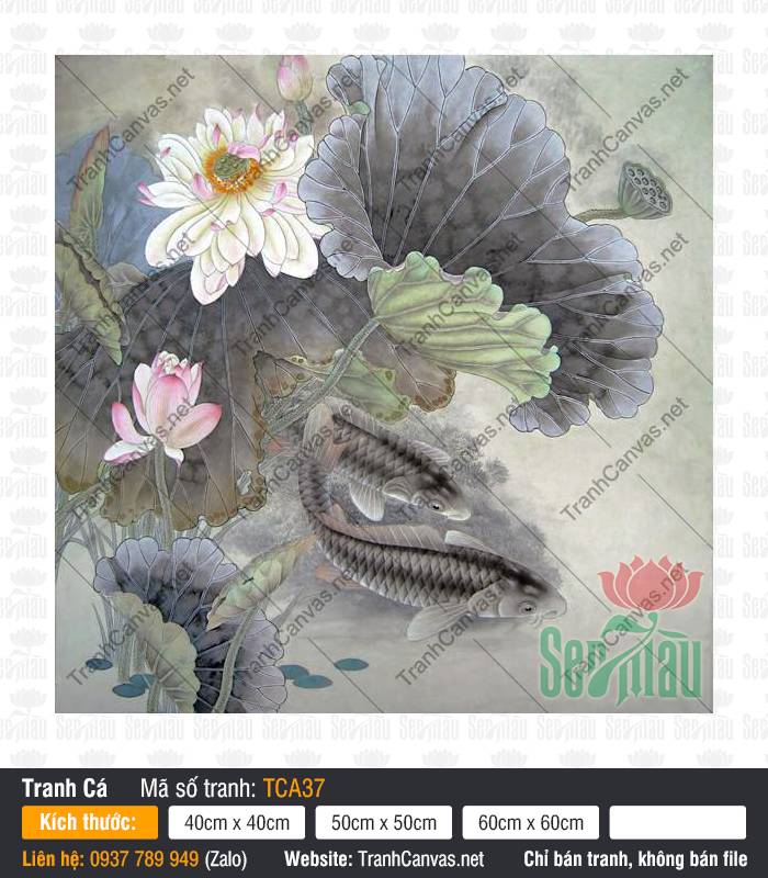 Hình Cá Chép Đẹp TCA37, Tranh Cá Chép Treo Tường, Tranh Cá Đẹp, Xưởng Tranh Canvas