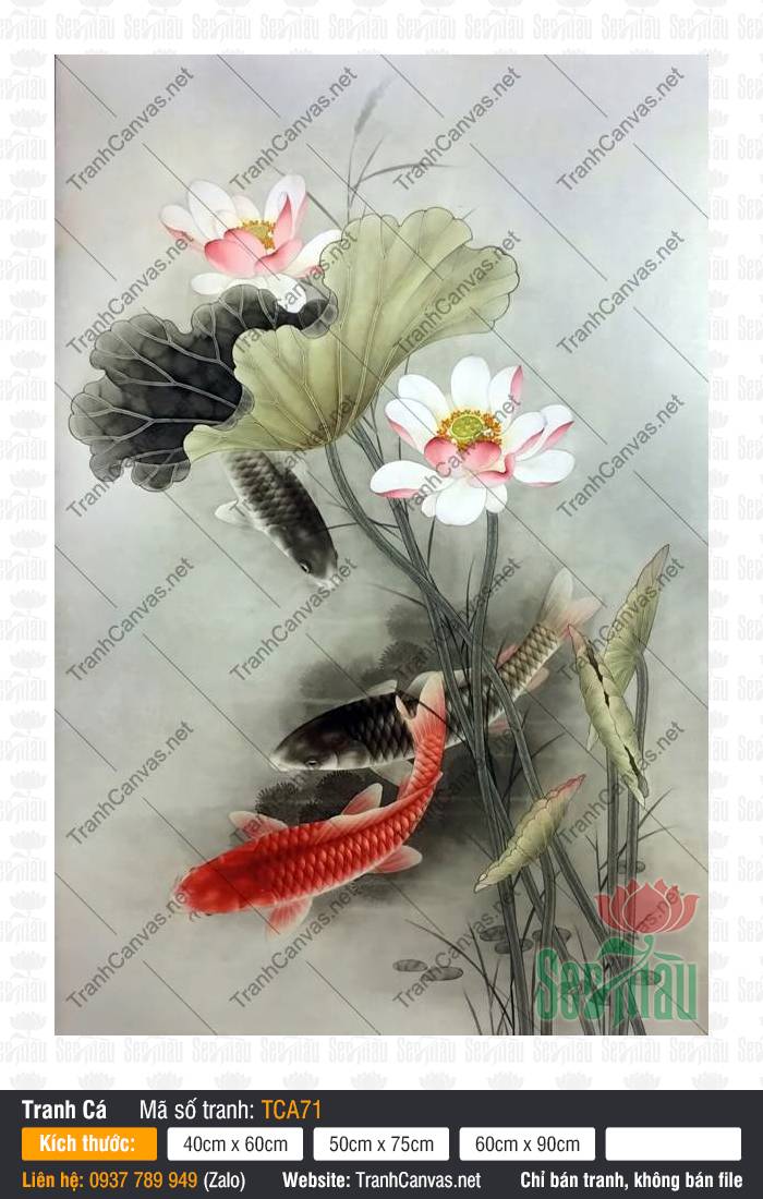 Hình Cá Chép Đẹp TCA71, Tranh Canvas Cá Chép, Tranh Cá Đẹp, Tranh Canvas TPHCM