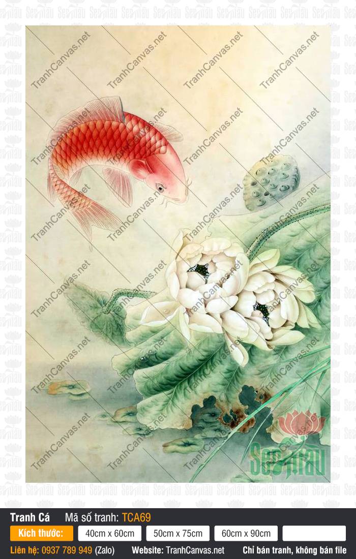 Hình Cá Chép May Mắn TCA69, Hình Cá Chép Đẹp Nhất, Tranh Cá Đẹp, Tranh Canvas Saigon