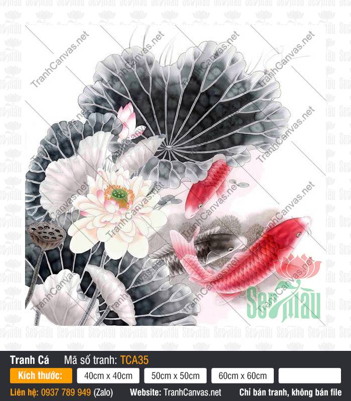 Hình Cá Chép TCA35, Tranh Cá Chép Phong Thủy Đẹp, Tranh Cá Đẹp, Xưởng In Tranh Canvas TPHCM