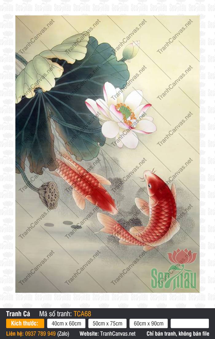 Hình Cá Chép TCA68, Hình Ảnh Cá Chép Phong Thủy, Tranh Cá Đẹp, Tranh Canvas Sài Gòn