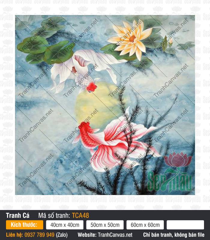 Tranh 2 Con Cá Đẹp TCA48, Tranh Cá Chép Phong Thủy, Tranh Cá Đẹp, In Tranh Canvas Theo Yêu Cầu