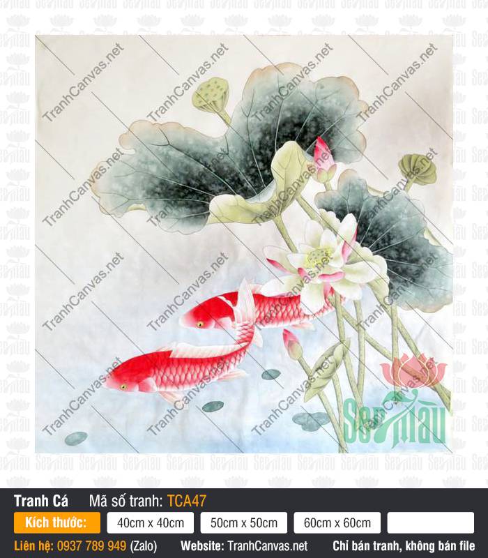 Tranh Cá Chép Đẹp Nhất TCA47, Hình Cá Chép May Mắn, Tranh Cá Đẹp, In Tranh Canvas TPHCM