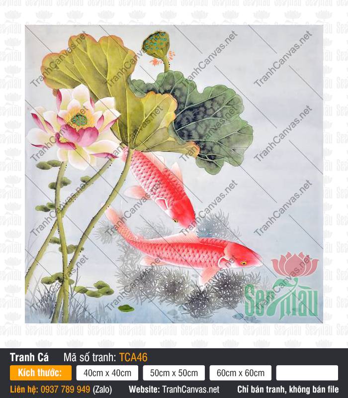 Tranh Cá Chép Đẹp TCA46, In Tranh Cá Chép, Tranh Cá Đẹp, In Tranh Canvas Sài Gòn