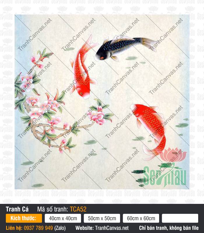 Tranh Cá Chép Phong Thủy Đẹp TCA52, Hình Cá Chép, Tranh Cá Đẹp, In Tranh Lên Canvas