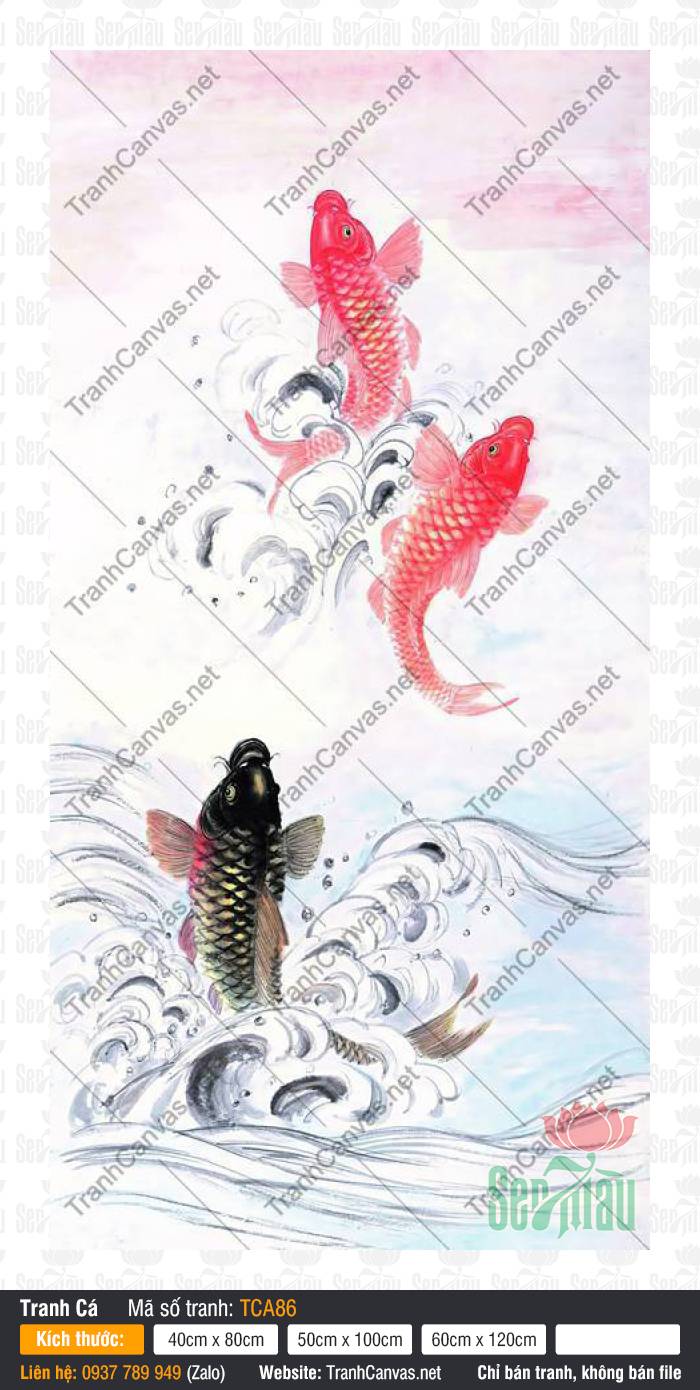Tranh Cá Chép Phong Thủy Đẹp TCA86, In Hình Cá Chép, Tranh Cá Đẹp, Tranh In Canvas Tường