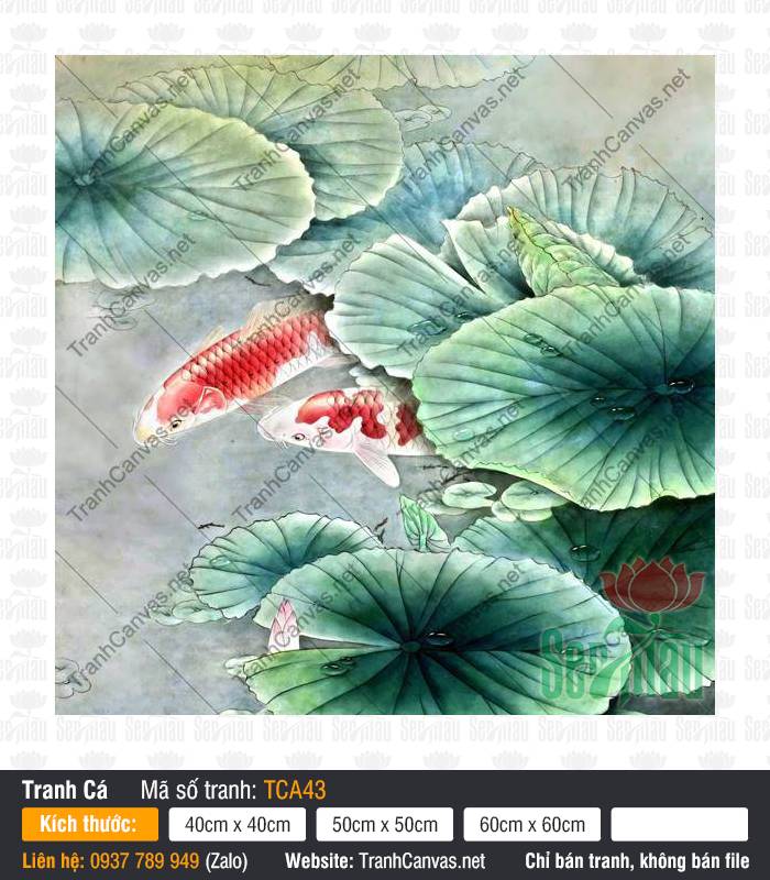 Tranh Cá Chép TCA43, Hình Cá Chép May Mắn, Tranh Cá Đẹp, In Tranh Canvas Chất Lượng Cao