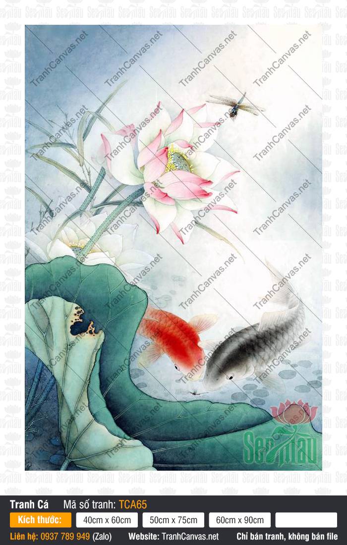 Tranh Cá Chép Treo Phòng Khách TCA65, Hình Cá Chép, Tranh Cá Đẹp, Tranh Canvas Phòng Khách