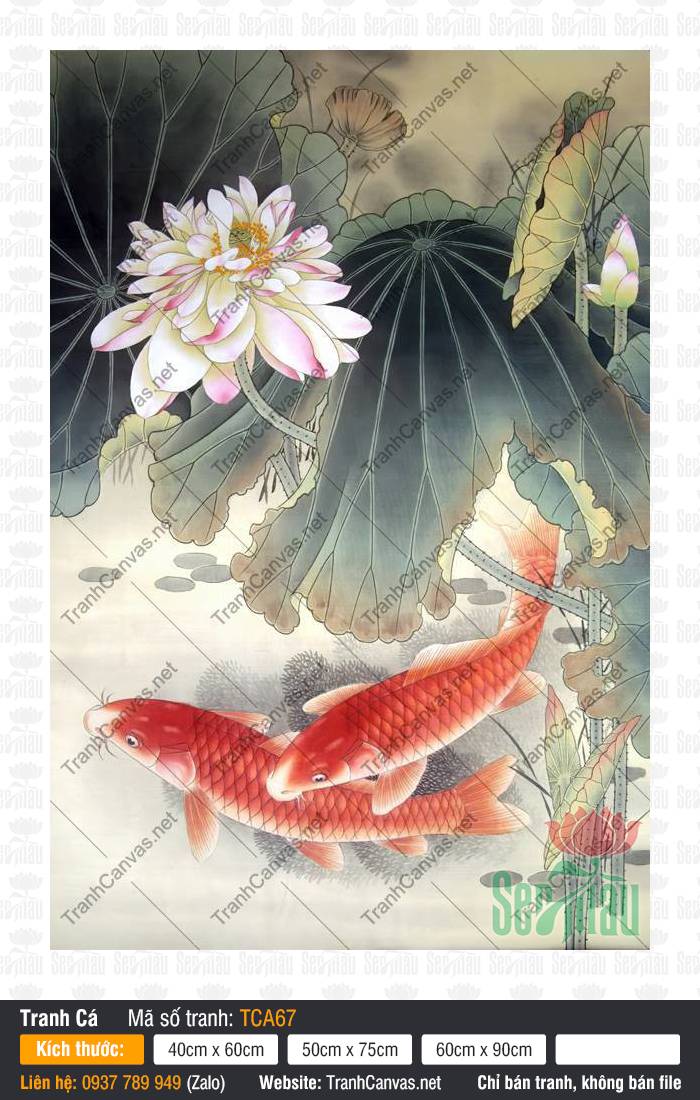 Tranh Cá Chép Treo Tường TCA67, Tranh Cá Chép Đẹp, Tranh Cá Đẹp, Tranh Canvas Phong Thủy