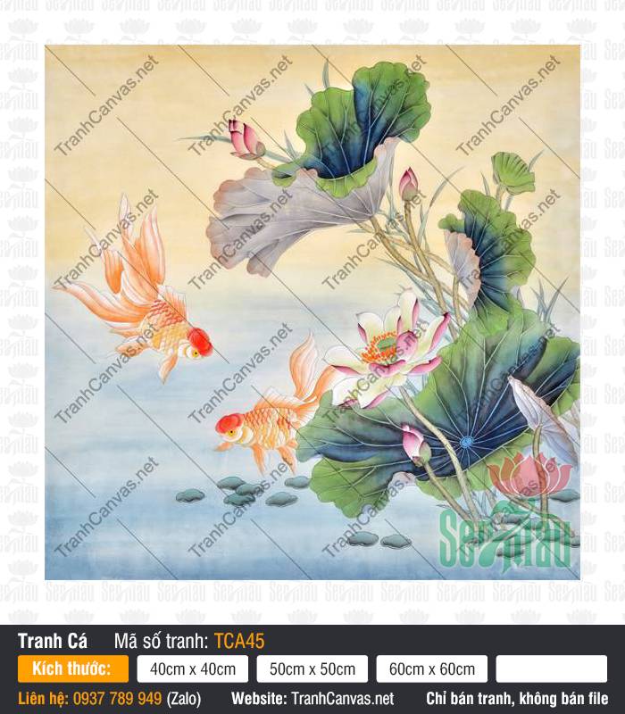 Tranh Cá và Hoa Sen Đẹp TCA45, Hình Cá Chép Đẹp, Tranh Cá Đẹp, In Tranh Canvas Khổ Lớn