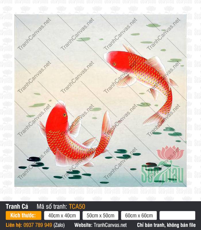 Tranh Canvas Cá Chép TCA50, Hình Cá Chép Đẹp Nhất, Tranh Cá Đẹp, In Tranh Canvas Treo Tường