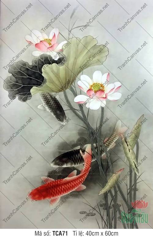 Hình Cá Chép Đẹp TCA71, Tranh Canvas Cá Chép