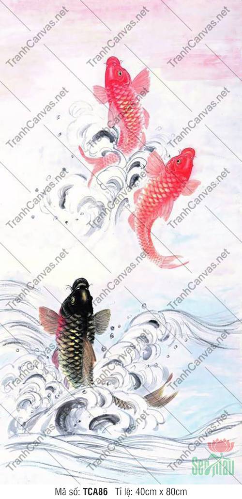 Tranh Cá Chép Phong Thủy Đẹp TCA86, In Hình Cá Chép