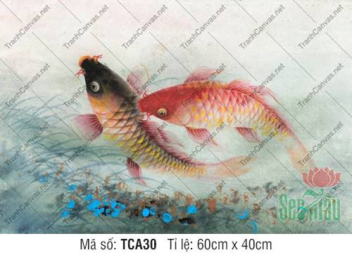 Tranh Cá Chép Trong Phong Thủy TCA30, Hình Cá Chép