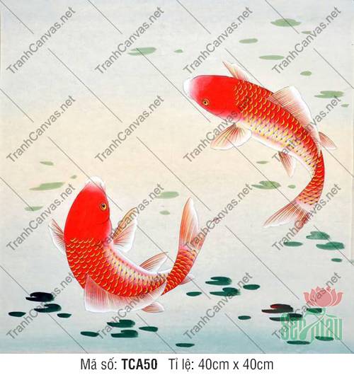 Tranh Canvas Cá Chép TCA50, Hình Cá Chép Đẹp Nhất