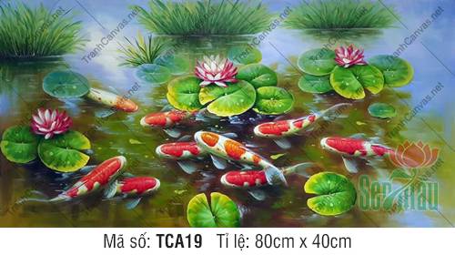 Tranh Cửu Ngư Quần Hội Đẹp Nhất TCA19, Hình Cá Chép