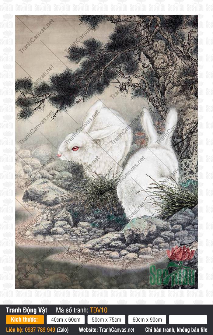 Bức Tranh Con Thỏ TDV10, Tranh Hình Con Vật, Tranh Động Vật, Tranh Canvas Phong Thủy