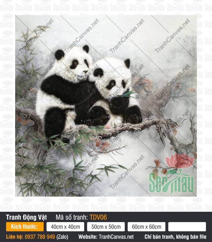 Tranh 2 Con Gấu Trúc TDV06, Tranh Con Vật Dễ Thương, Tranh Động Vật, Tranh Canvas Khổ To