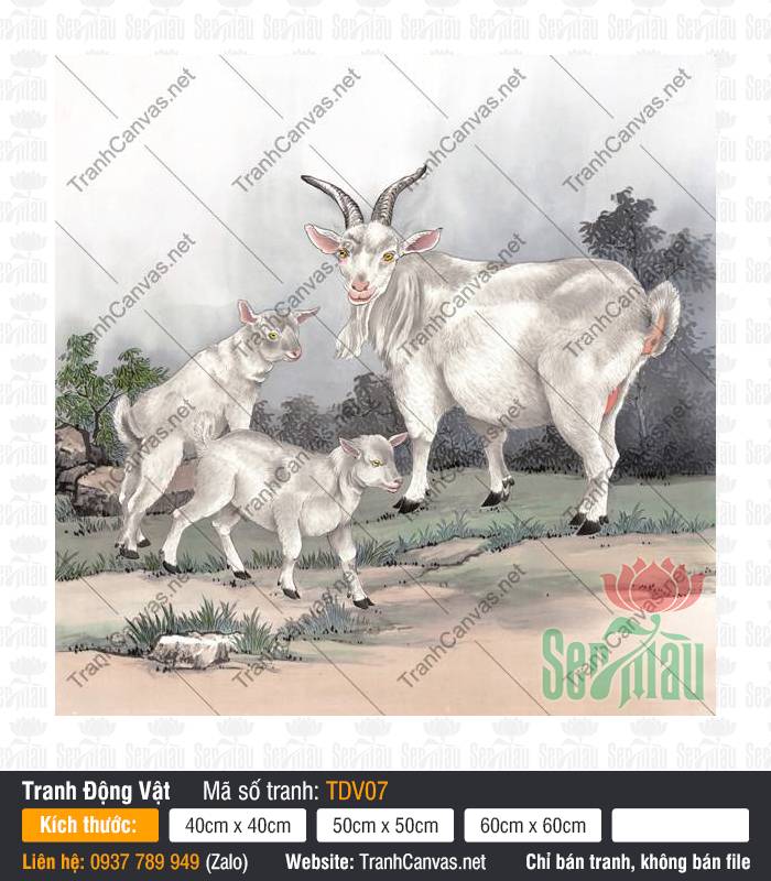 Tranh 3 Con Dê TDV07, Tranh Con Vật Đáng Yêu, Tranh Động Vật, Tranh In Canvas