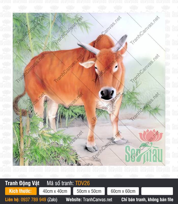 Tranh Con Bò TDV26, Hình Con Vật Đẹp, Tranh Động Vật, Tranh Canvas Treo Phòng Ngủ