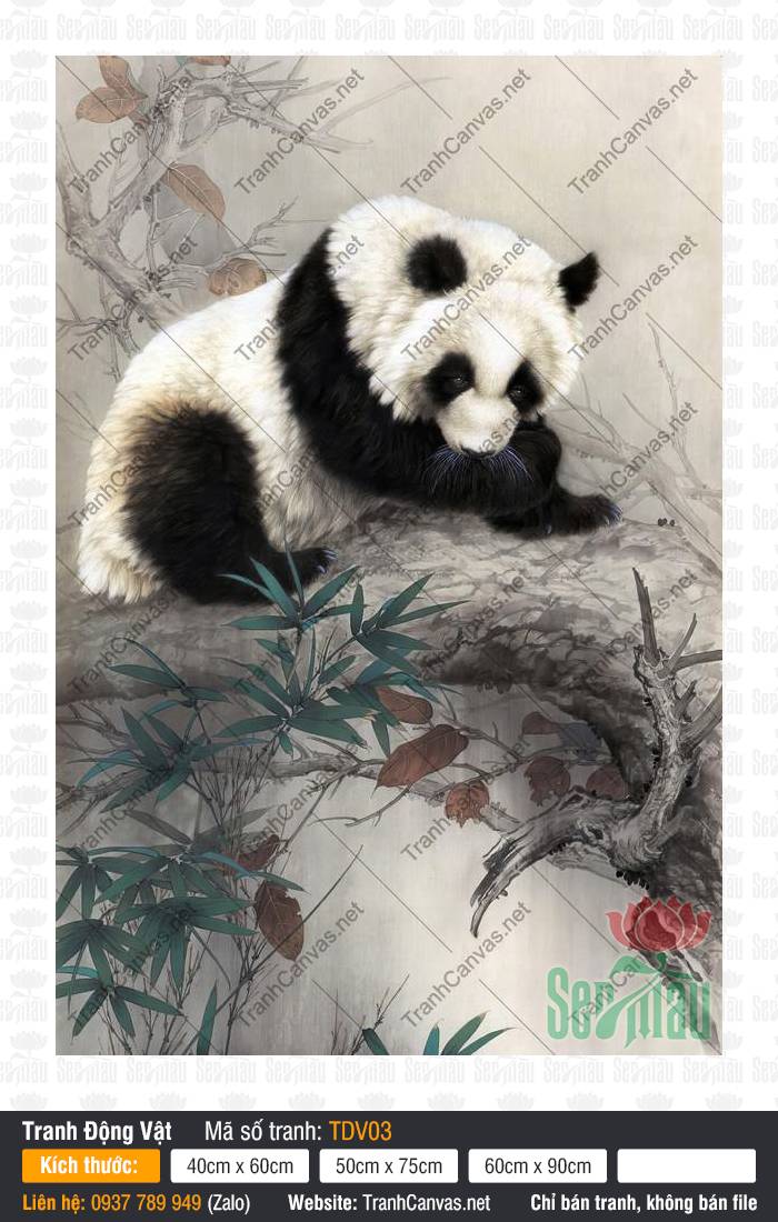 Tranh Con Gấu Trúc TDV03, Hình Con Vật Đáng Yêu, Tranh Động Vật, Tranh Canvas HCM