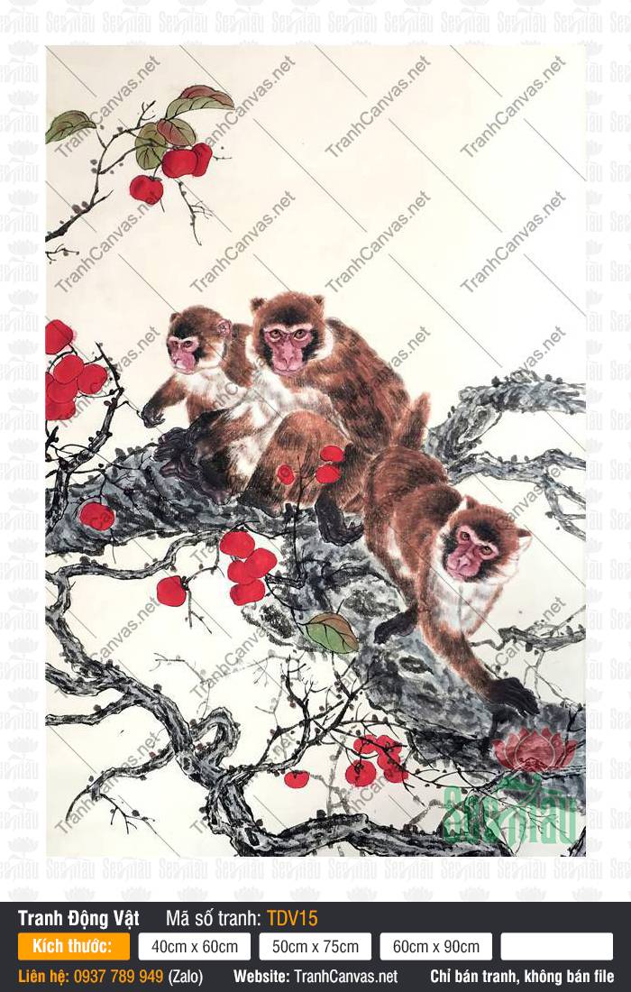 Tranh Con Khỉ Đẹp TDV15, Hình Con Vật Đẹp, Tranh Động Vật, Tranh Vải Canvas