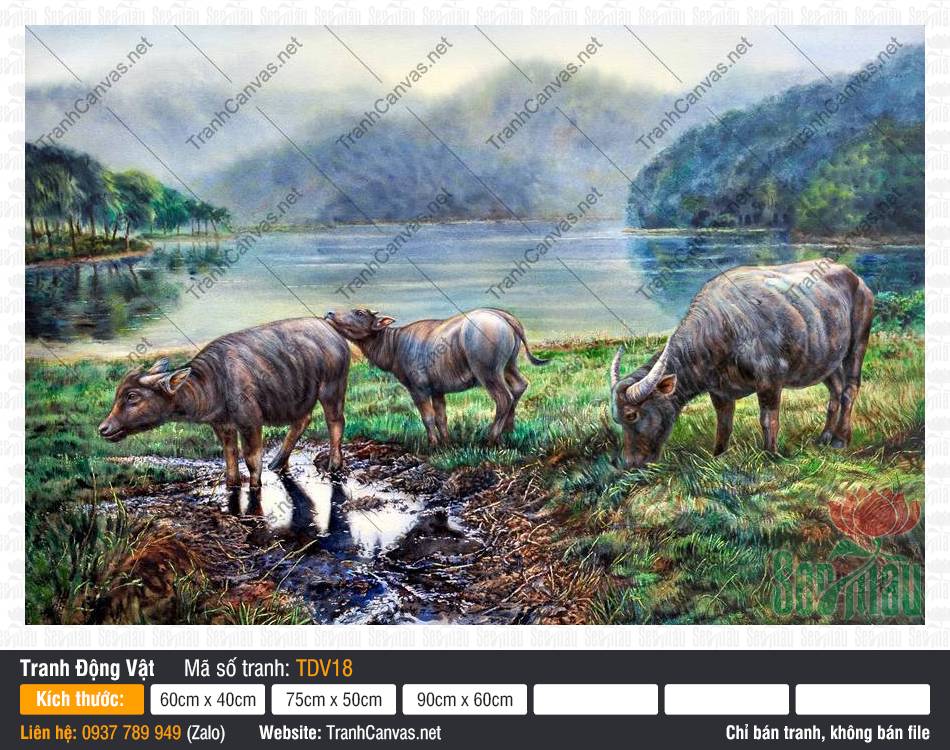 Tranh Con Trâu Đẹp TDV18, Tranh Con Vật Đáng Yêu, Tranh Động Vật, Tranh Canvas Decor