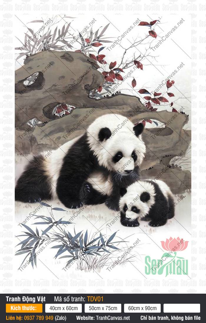 Tranh Gấu Trúc TDV01, Bức Tranh Hình Con Vật, Tranh Động Vật, Tranh Canvas