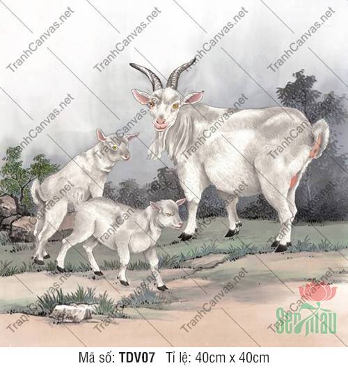Tranh 3 Con Dê TDV07, Tranh Con Vật Đáng Yêu