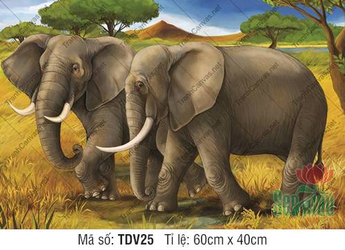 Tranh Con Voi TDV25, Hình Con Vật Đáng Yêu