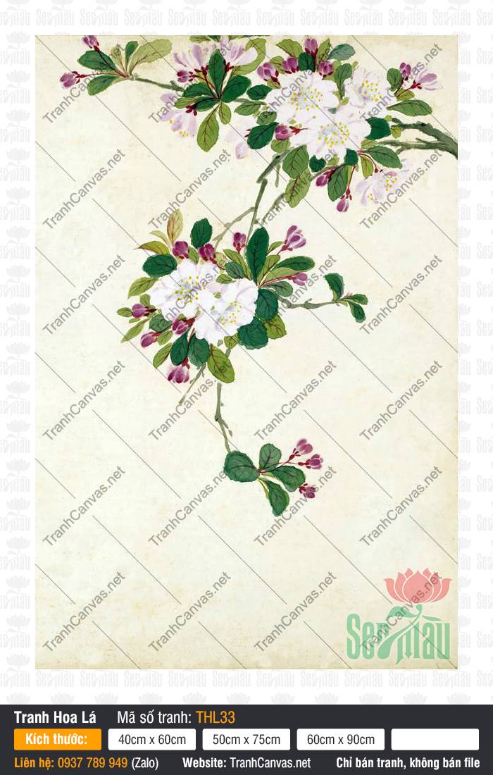 Tranh Vẽ Hoa Đẹp THL33, Tranh Hình Bông Hoa, Tranh Hoa Lá, Tranh Vải Canvas Treo Tường