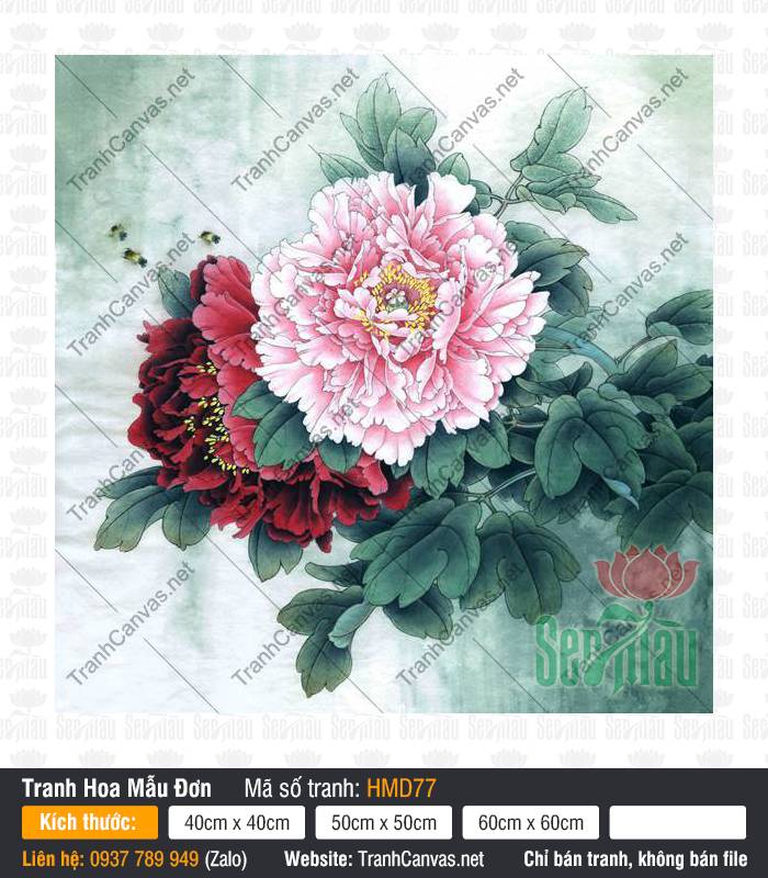 Bức Tranh Hoa Mẫu Đơn HMD77, Mẫu Tranh Hoa Mẫu Đơn, Tranh Hoa Mẫu Đơn, Tranh Canvas Nghệ Thuật