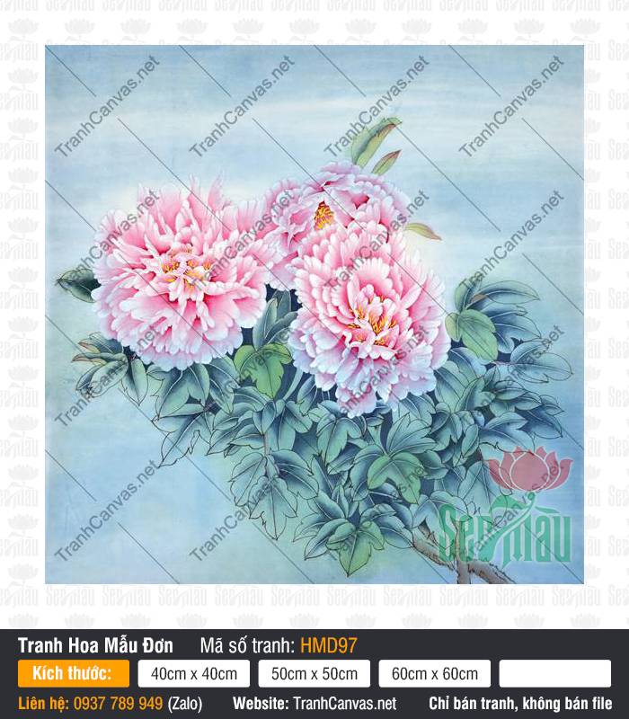 Hình Ảnh Hoa Mẫu Đơn Hồng HMD97, Tranh Hoa Mẫu Đơn, In Canvas HCM