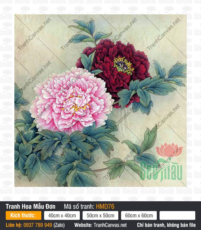 Hình Ảnh Tranh Hoa Mẫu Đơn HMD76, Tranh Hoa Mẫu Đơn, Tranh Canvas Không Khung
