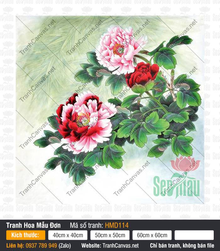 Hình Hoa Mẫu Đơn Đẹp HMD114, Tranh Mẫu Đơn Phú Quý, Tranh Hoa Mẫu Đơn, Nhận In Tranh Canvas