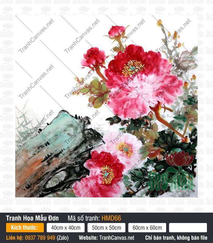 Hình Hoa Mẫu Đơn Đẹp HMD66, Tranh Hoa Mẫu Đơn Đẹp, Tranh Canvas Phòng Ngủ