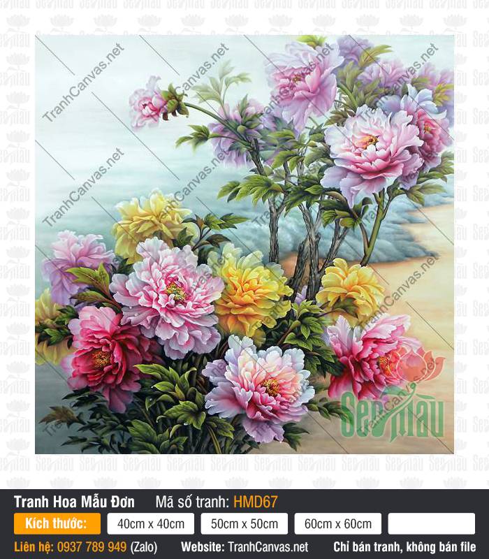 Hình Hoa Mẫu Đơn Đẹp Nhất HMD67, Tranh Hoa Mẫu Đơn, Tranh Canvas Phong Thủy