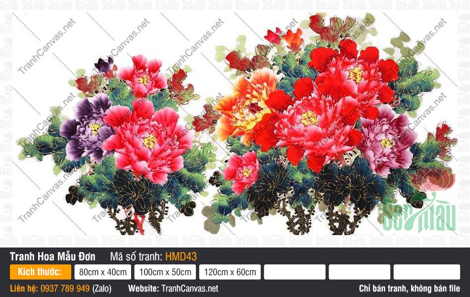 Hình Hoa Mẫu Đơn May Mắn HMD43, Tranh Hoa Mẫu Đơn, In Tranh Canvas Chất Lượng Cao
