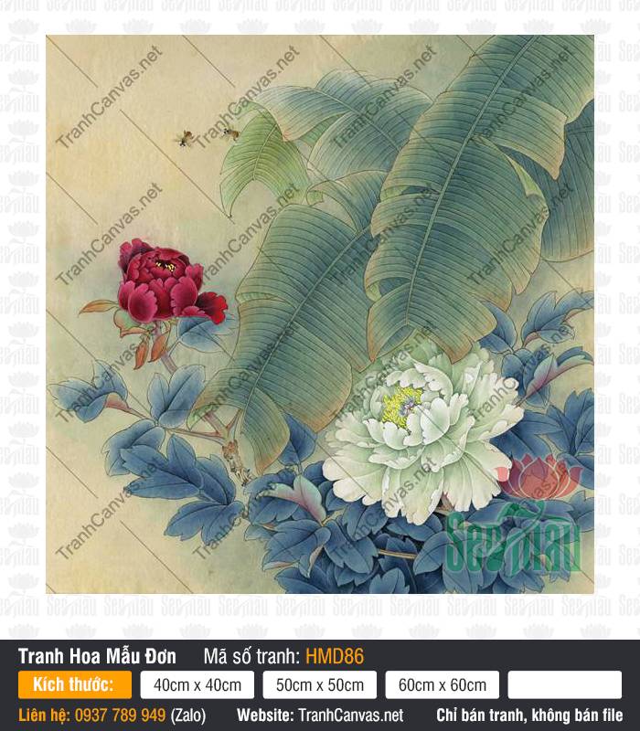 Hình Hoa Mẫu Đơn Trắng HMD86, Tranh Vẽ Hoa Mẫu Đơn, Tranh Hoa Mẫu Đơn, Tranh In Canvas Tường