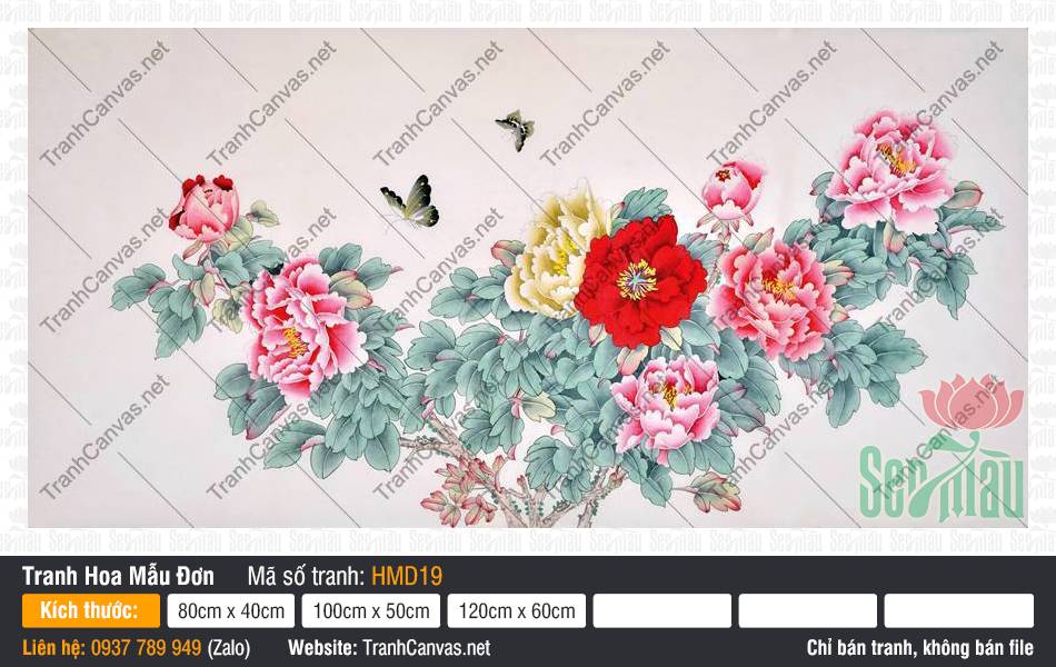 Hình Vẽ Hoa Mẫu Đơn Đẹp HMD19, Tranh in Hoa Mẫu Đơn, Tranh Hoa Mẫu Đơn, Tranh Canvas Không Khung