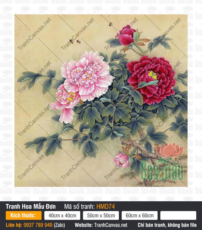 Hình Vẽ Hoa Mẫu Đơn Đẹp HMD74, Tranh Hoa Mẫu Đơn, Tranh Canvas Cao Cấp