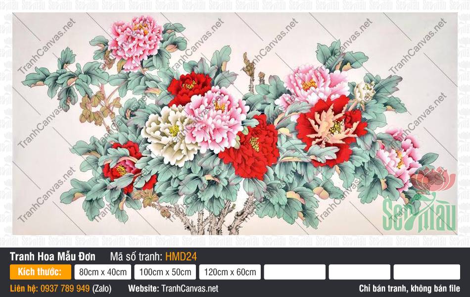 Mẫu Tranh Hoa Mẫu Đơn HMD24, Tranh Mẫu Đơn Phú Quý, Tranh Hoa Mẫu Đơn, Tranh Canvas Treo Phòng Khách