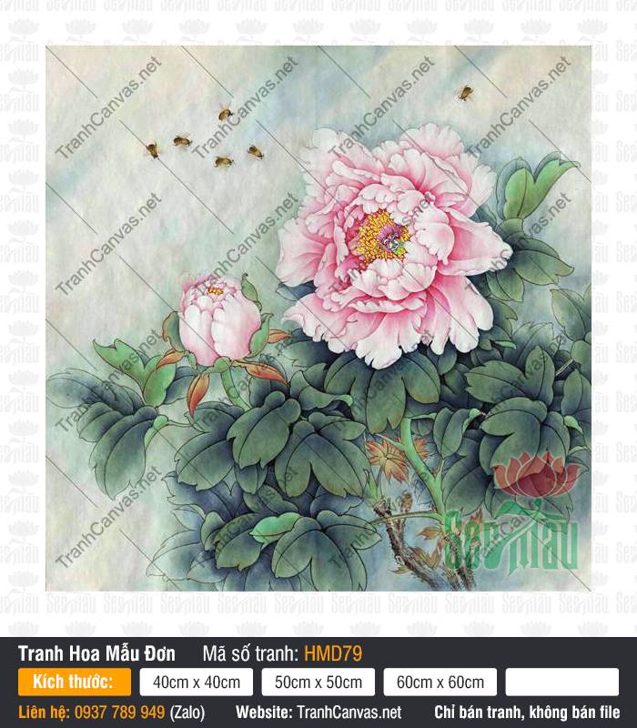 Mẫu Tranh Hoa Mẫu Đơn HMD79, Tranh Mẫu Đơn Phú Quý, Tranh Hoa Mẫu Đơn, Tranh Canvas Trang Trí Nội Thất
