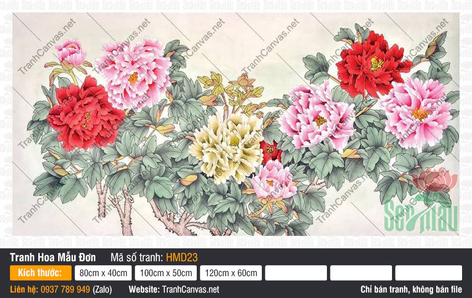 Những Bức Tranh Hoa Mẫu Đơn Đẹp Nhất HMD23, Tranh Hoa Mẫu Đơn Canvas, Tranh Hoa Mẫu Đơn, Tranh Canvas Trang Trí Phòng Khách