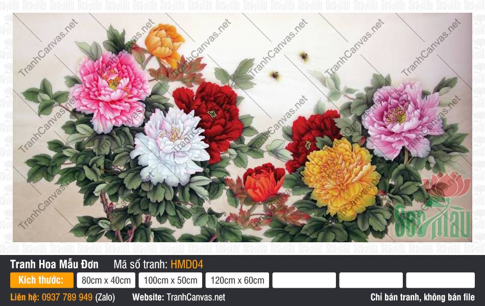 Tranh Hoa Mẫu Đơn Đẹp Nhất HMD04, Hình Hoa Mẫu Đơn, Tranh Hoa Mẫu Đơn, Tranh Canvas Hiện Đại