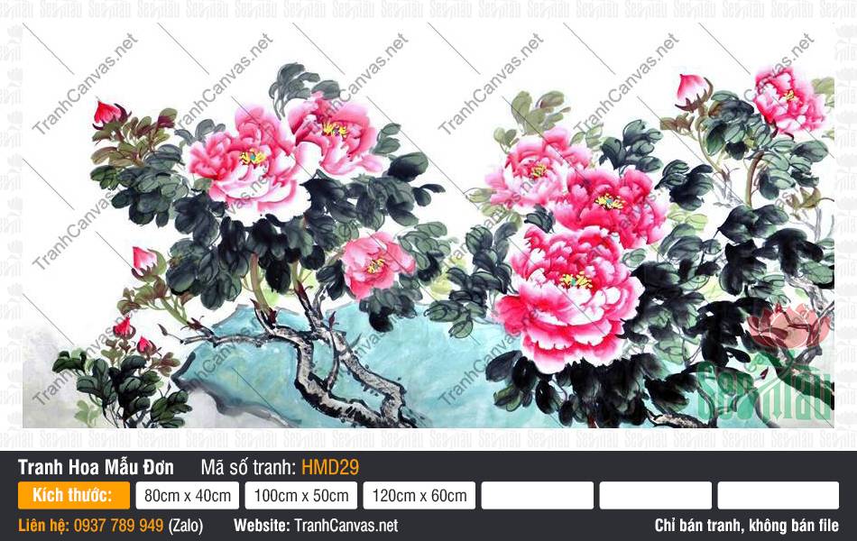 Tranh Hoa Mẫu Đơn Đẹp Nhất HMD29, Hình Hoa Mẫu Đơn, Tranh Hoa Mẫu Đơn, Tranh In Canvas Tường