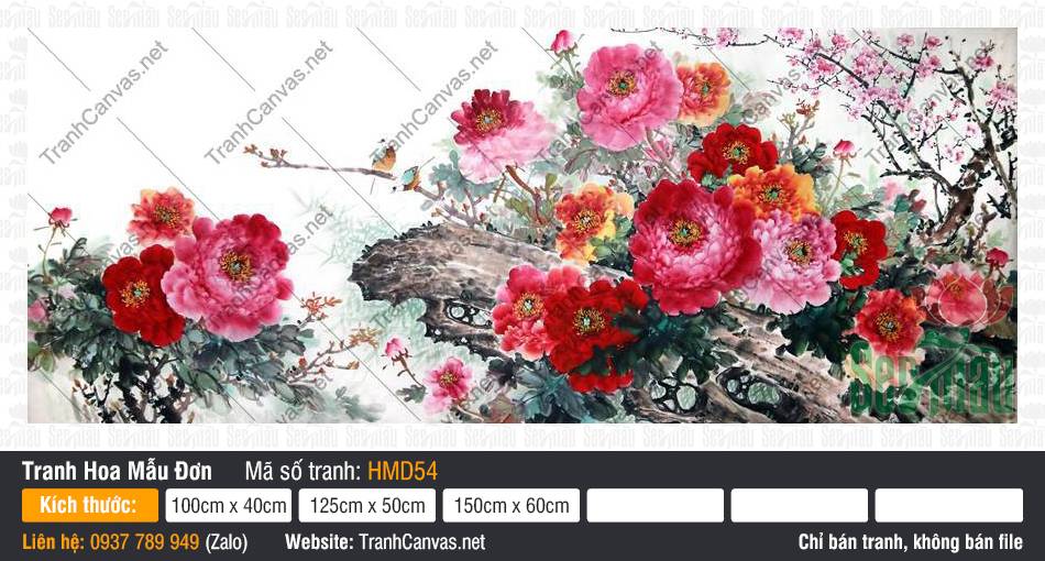 Tranh Hoa Mẫu Đơn Đẹp Nhất HMD54, Hình Hoa Mẫu Đơn, Tranh Hoa Mẫu Đơn, In Tranh Treo Tường Canvas